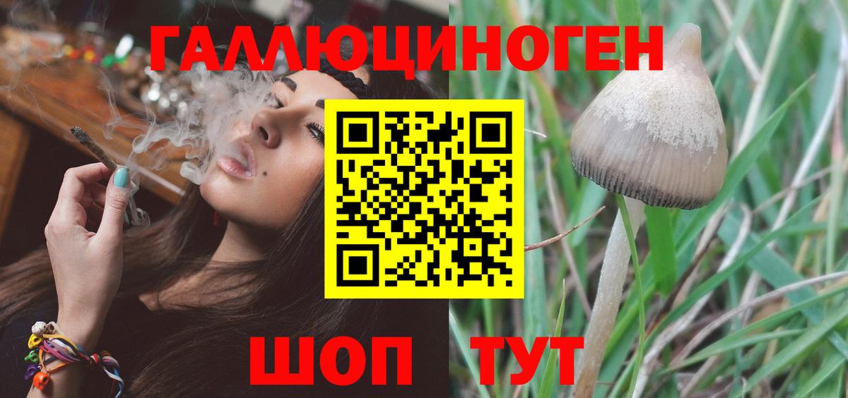 Псилоцибиновые грибы Psilocybine cubensis  Вход с VPN  Южноуральск 